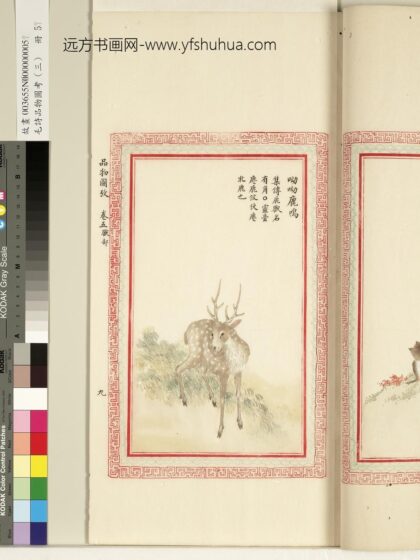毛诗品物图考（三）册 呦呦鹿鸣 1.jpg