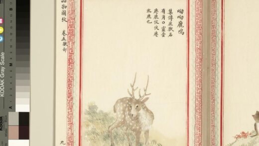 毛诗品物图考（三）册 呦呦鹿鸣 1.jpg