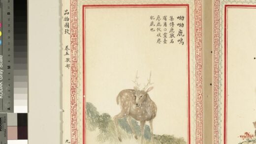 毛诗品物图考（三）册 呦呦鹿鸣 2.jpg