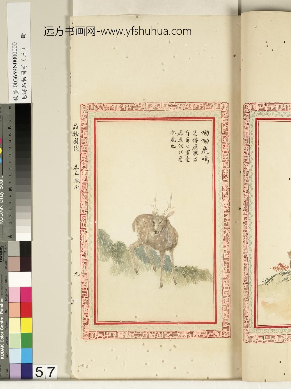 毛诗品物图考（三）册-呦呦鹿鸣-