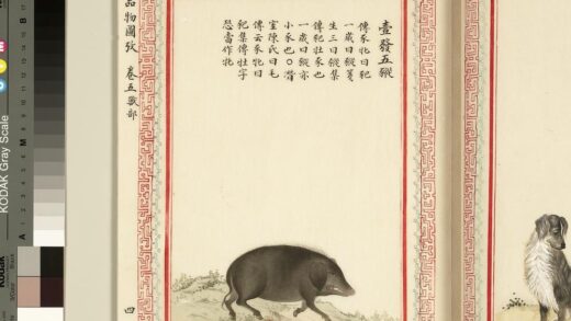 毛诗品物图考（三）册 壹发五豵 1.jpg