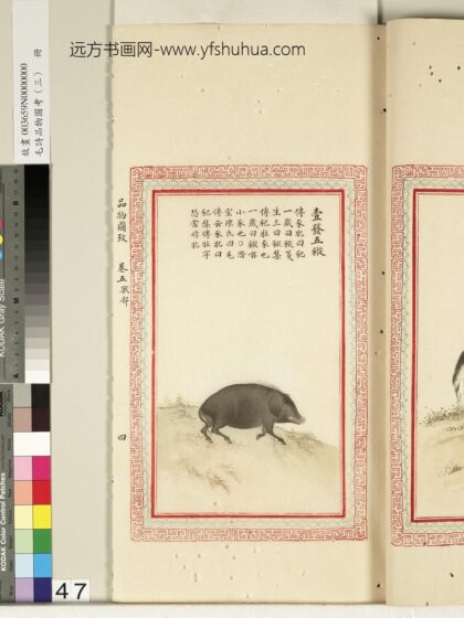 毛诗品物图考（三）册 壹发五豵 2.jpg