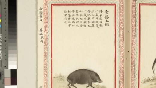 毛诗品物图考（三）册 壹发五豵 2.jpg