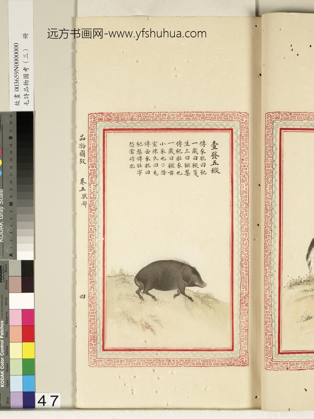 毛诗品物图考（三）册-壹发五豵-