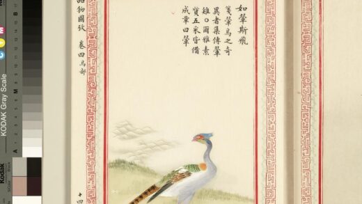 毛诗品物图考（三）册 如翚斯飞 1.jpg