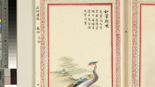 毛诗品物图考（三）册 如翚斯飞 2.jpg