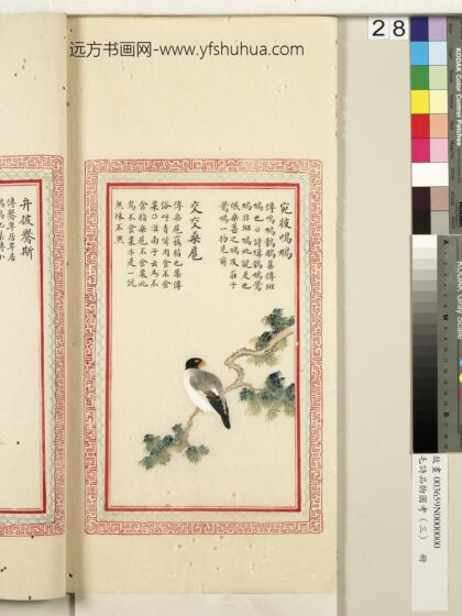 毛诗品物图考（三）册 宛彼鸣鸠交交桑扈 2.jpg