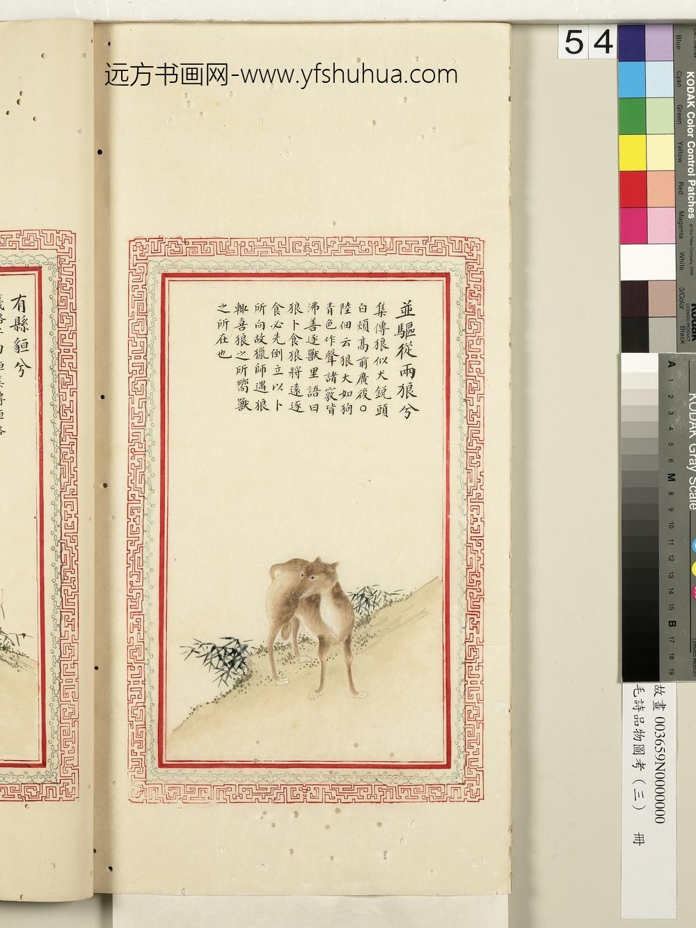 毛诗品物图考（三）册-并驱从两狼兮-