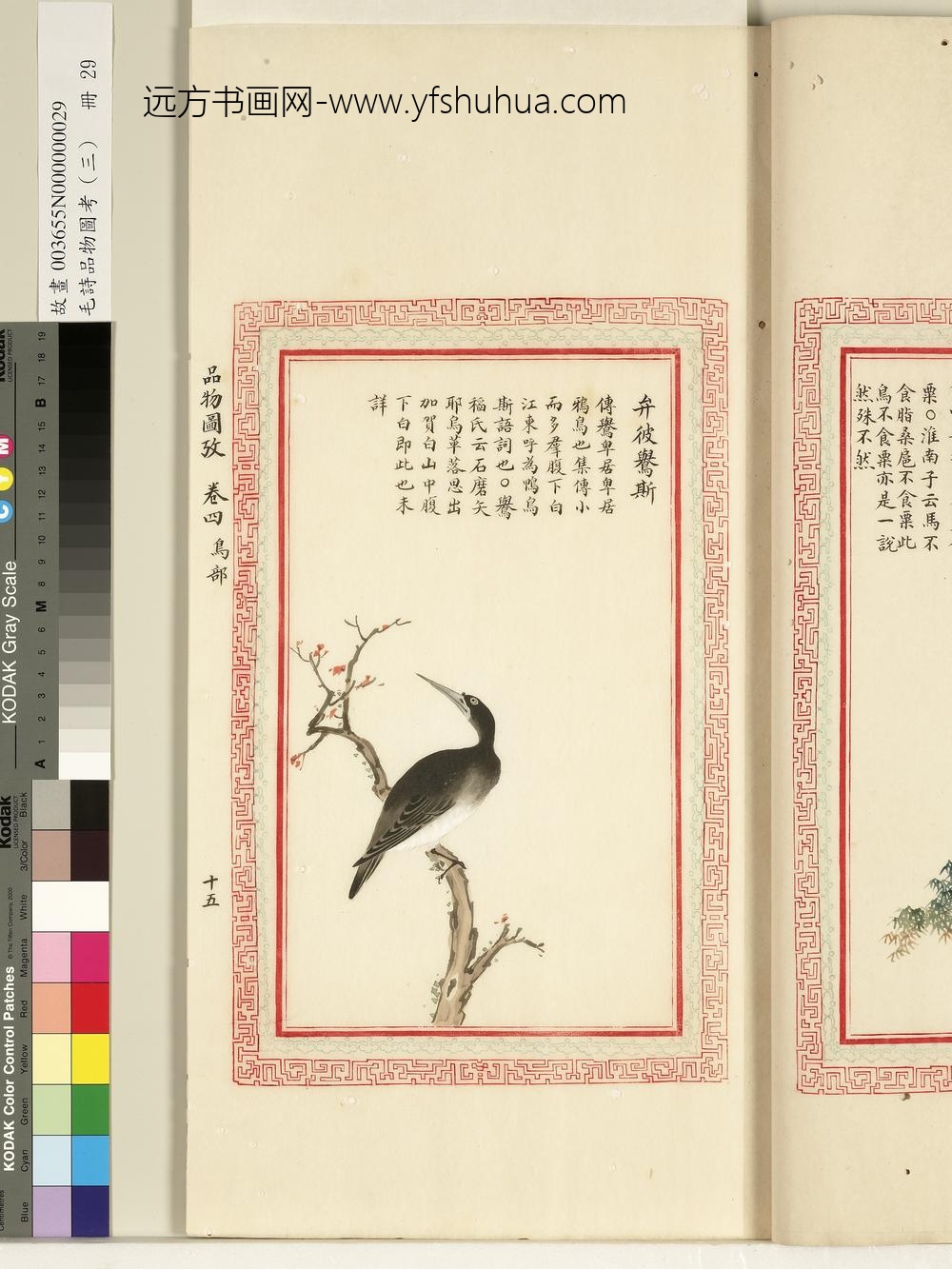 毛诗品物图考（三）册-弁彼鸒斯-