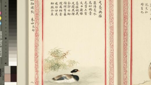 毛诗品物图考（三）册 弋凫与雁 1.jpg