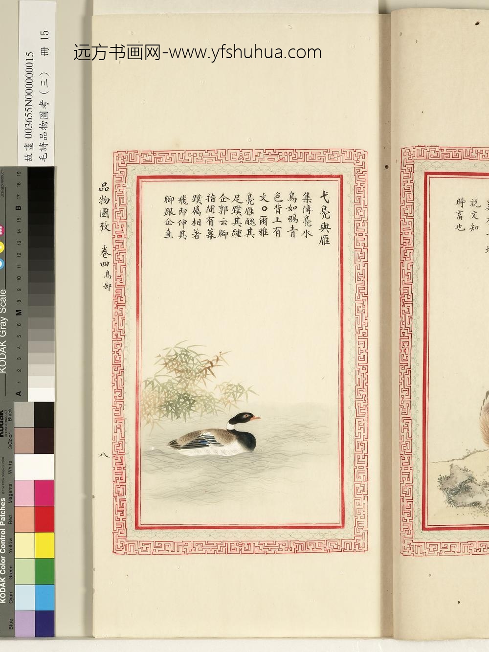 毛诗品物图考（三）册-弋凫与雁-