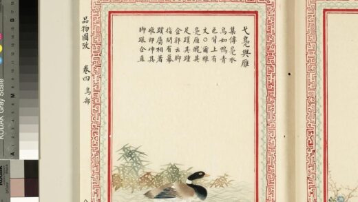 毛诗品物图考（三）册 弋凫与雁 2.jpg