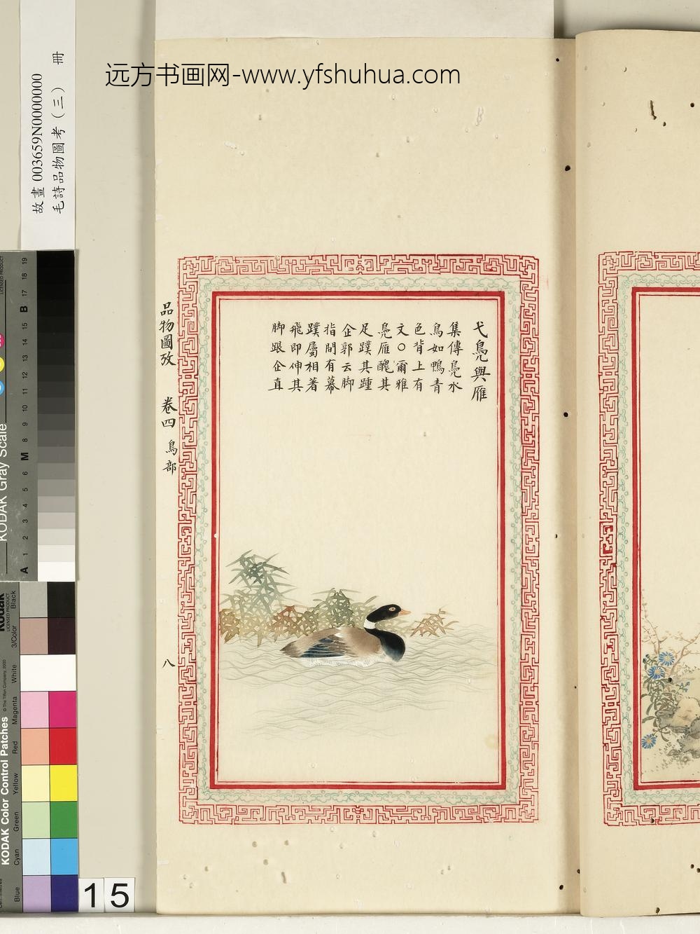 毛诗品物图考（三）册-弋凫与雁-