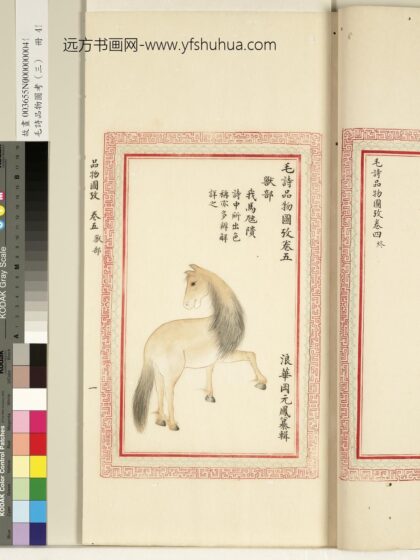 毛诗品物图考（三）册 我马虺隤 1.jpg