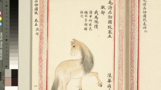 毛诗品物图考（三）册 我马虺隤 1.jpg