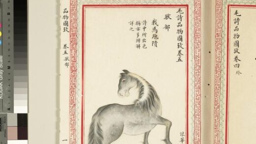 毛诗品物图考（三）册 我马虺隤 2.jpg