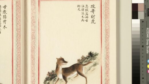 毛诗品物图考（三）册 投畀豺虎 1.jpg