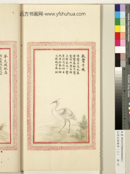 毛诗品物图考（三）册 振鹭于飞 1.jpg