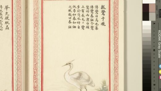 毛诗品物图考（三）册 振鹭于飞 1.jpg
