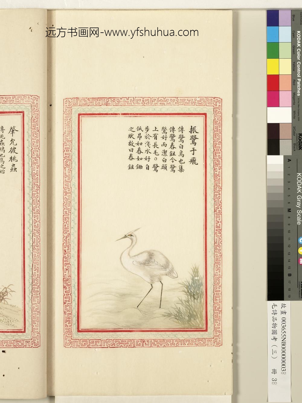 毛诗品物图考（三）册-振鹭于飞-