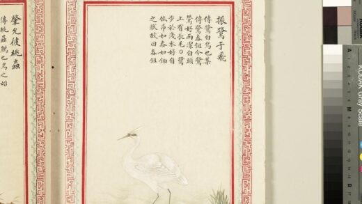 毛诗品物图考（三）册 振鹭于飞 2.jpg