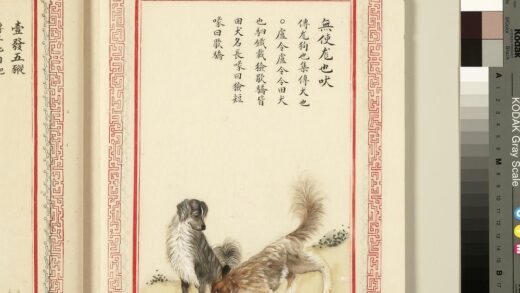 毛诗品物图考（三）册 无使尨也吠 1.jpg