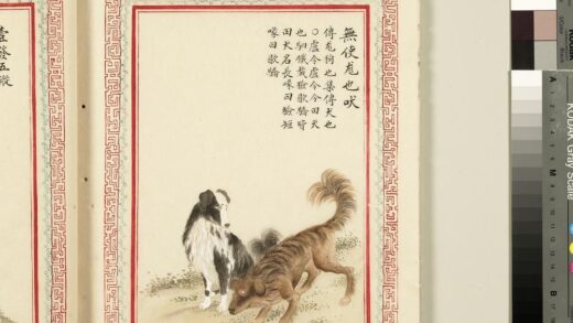 毛诗品物图考（三）册 无使尨也吠 2.jpg
