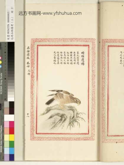 毛诗品物图考（三）册 时维鹰扬 1.jpg