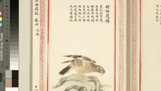 毛诗品物图考（三）册 时维鹰扬 1.jpg