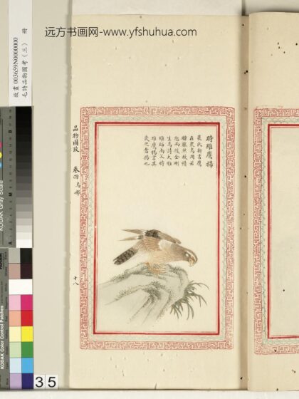 毛诗品物图考（三）册 时维鹰扬 2.jpg