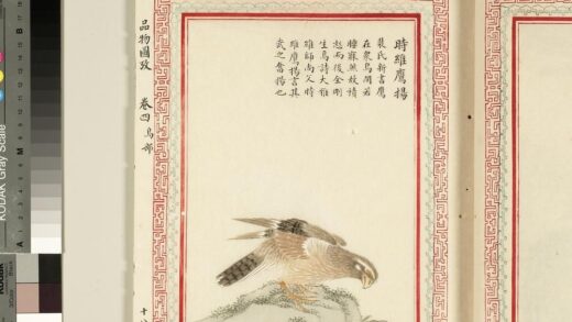 毛诗品物图考（三）册 时维鹰扬 2.jpg