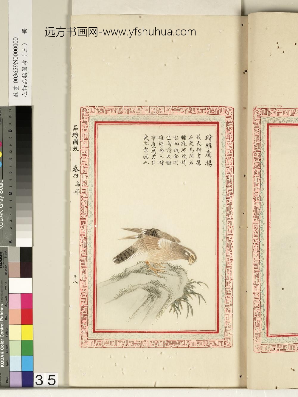 毛诗品物图考（三）册-时维鹰扬-