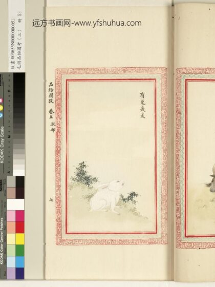 毛诗品物图考（三）册 有兔爰爰 1.jpg