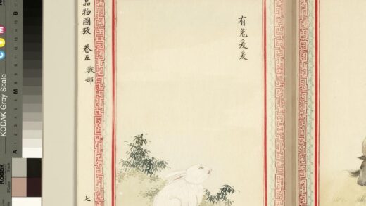 毛诗品物图考（三）册 有兔爰爰 1.jpg