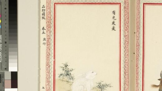 毛诗品物图考（三）册 有兔爰爰 2.jpg