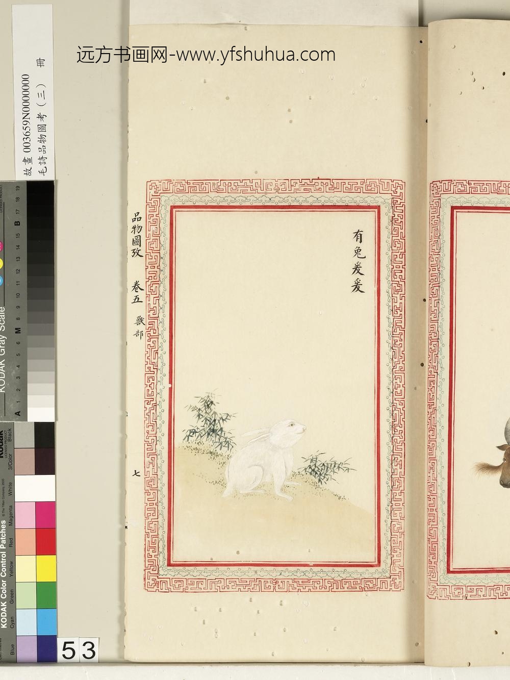 毛诗品物图考（三）册-有兔爰爰-