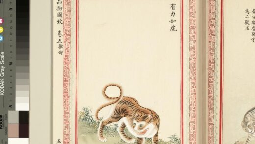 毛诗品物图考（三）册 有力如虎 1.jpg