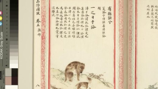 毛诗品物图考（三）册 有县貆兮一之日于貉 1.jpg