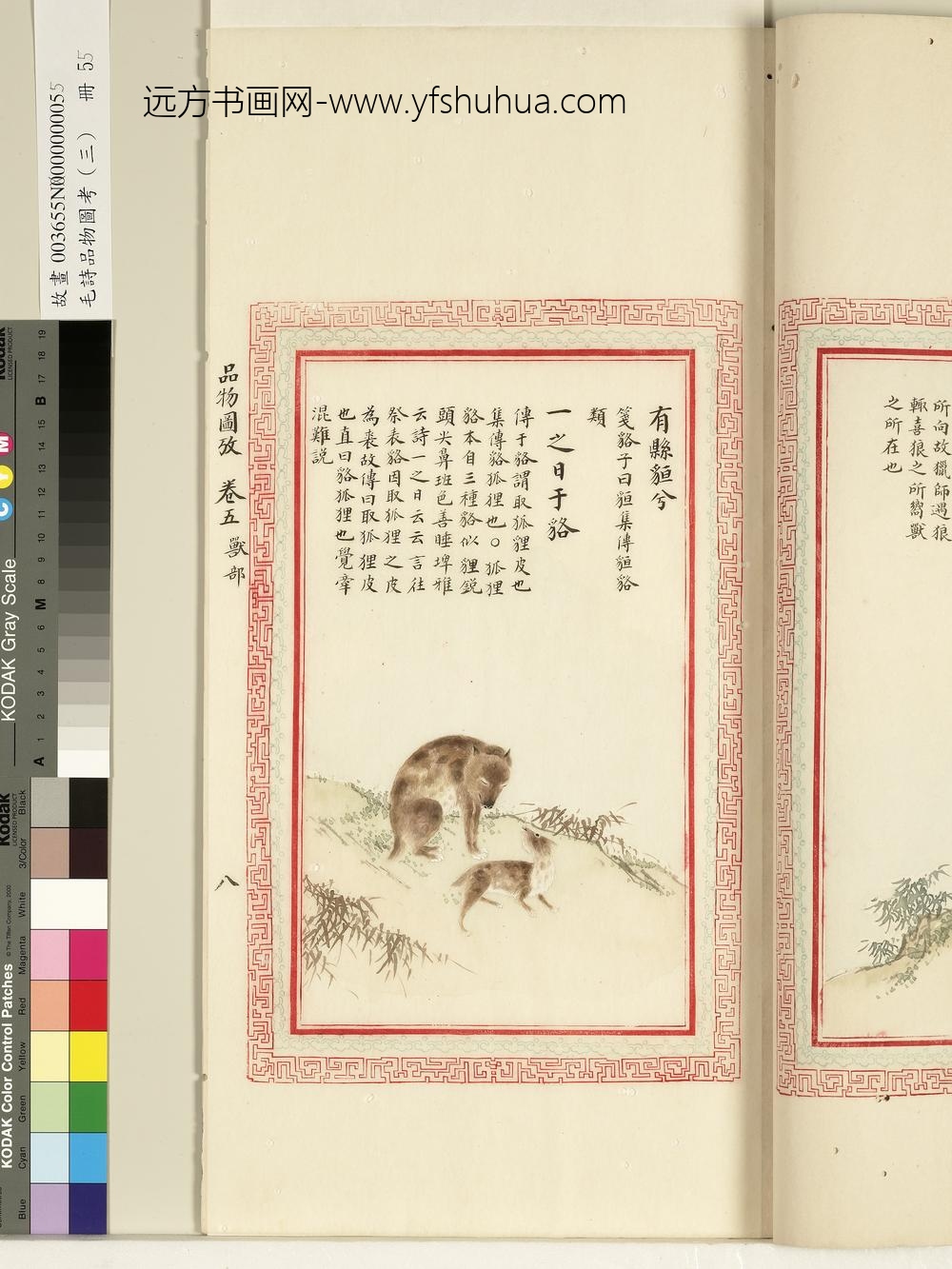 毛诗品物图考（三）册-有县貆兮一之日于貉-