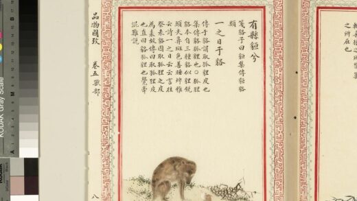 毛诗品物图考（三）册 有县貆兮一之日于貉 2.jpg
