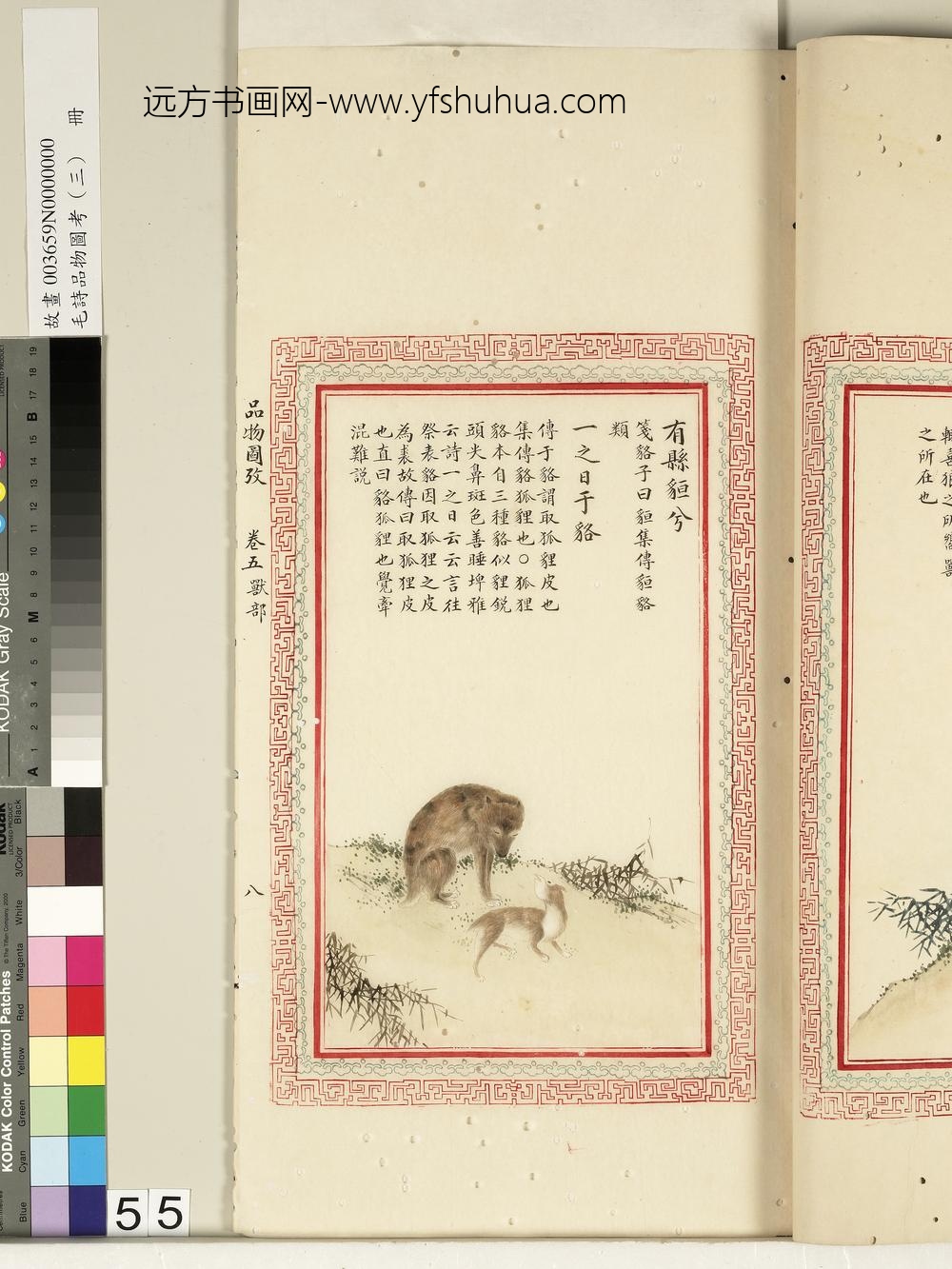 毛诗品物图考（三）册-有县貆兮一之日于貉-