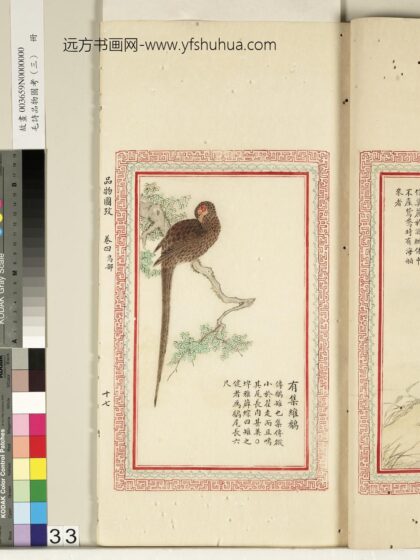 毛诗品物图考（三）册 有集维鷮 2.jpg