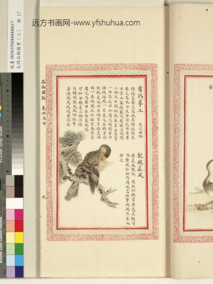 毛诗品物图考（三）册 有鸮萃止鴥彼晨风 1.jpg