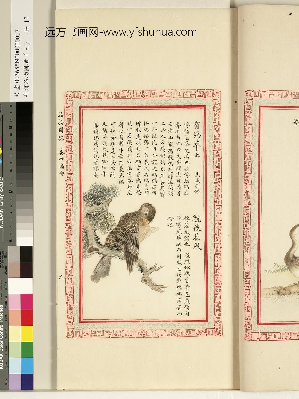 毛诗品物图考（三）册-有鸮萃止鴥彼晨风-