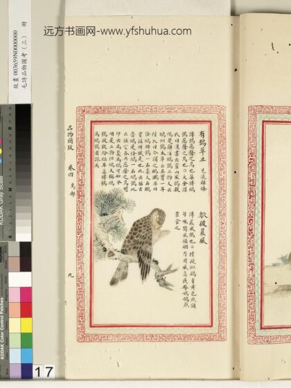 毛诗品物图考（三）册 有鸮萃止鴥彼晨风 2.jpg