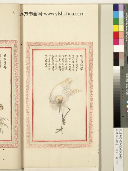 毛诗品物图考（三）册 有鹙在梁 1.jpg