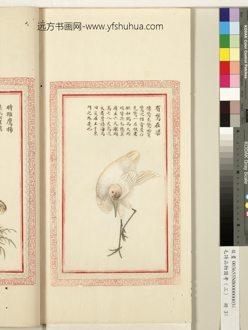 毛诗品物图考（三）册-有鹙在梁-