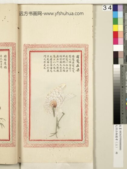 毛诗品物图考（三）册 有鹙在梁 2.jpg