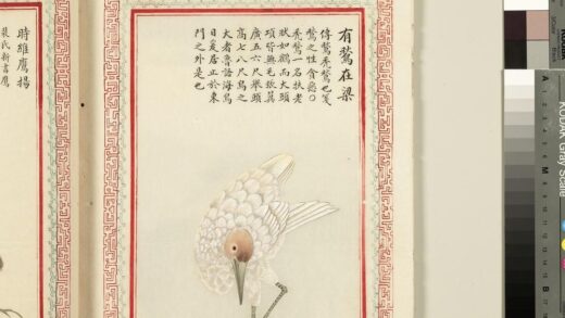 毛诗品物图考（三）册 有鹙在梁 2.jpg