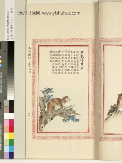 毛诗品物图考（三）册 毋教猱升木 1.jpg